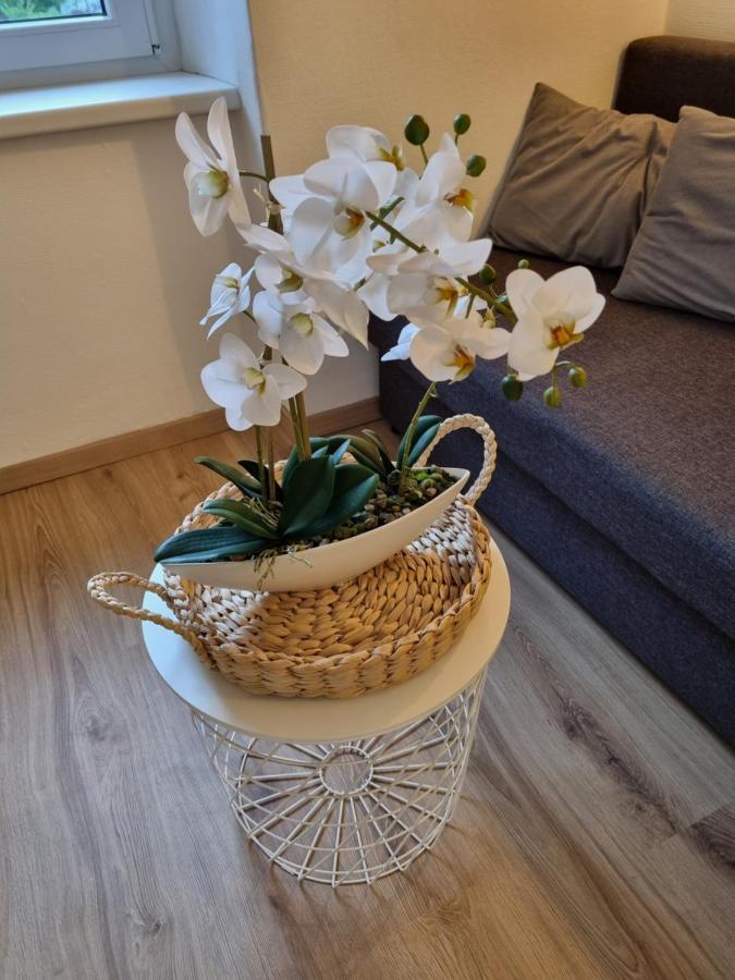Apartment Seebachhof Edlbach Bagian luar foto